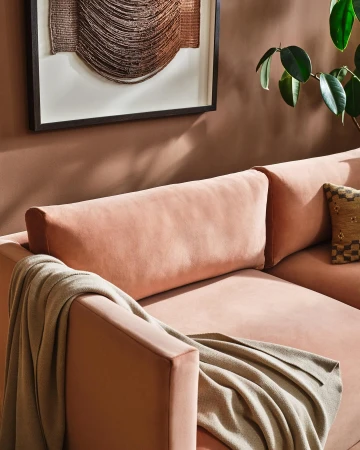 Interior design featuring a modern pink couch with a throw blanket, complemented by abstract art and a potted plant against a neutral wall.
