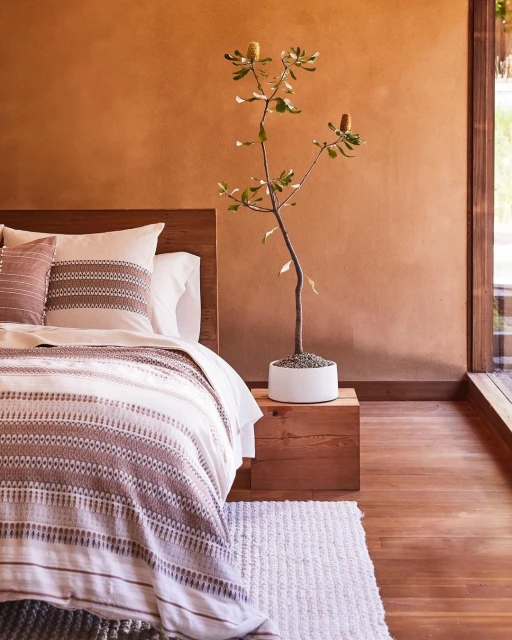 Bedroom interior featuring a wooden bed with striped bedding, a tree in a white pot on a wood cube, and an earth-toned stucco wall.