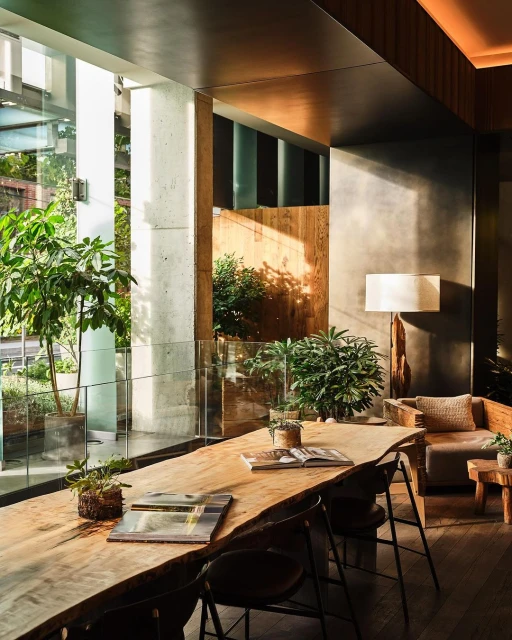 Interior design of a modern open-plan lounge space with natural wood table, seating area, and potted plants, bathed in natural light.