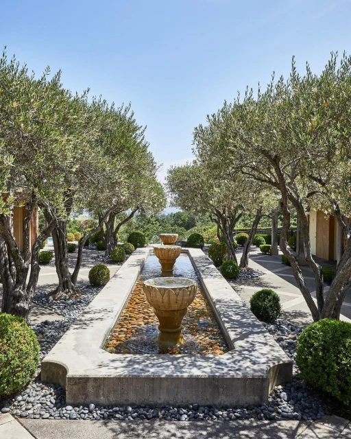 Outdoor water feature with stone bowls in a row with small river rock and trimmed shrubs, framed by mature olive trees under blue sky.