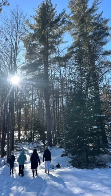 Four people walk along a snowy path surrounded by tall pine trees under a bright, sunny, blue sky in a winter outdoor scene.