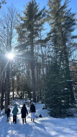 Four people walk along a snowy path surrounded by tall pine trees under a bright, sunny, blue sky in a winter outdoor scene.
