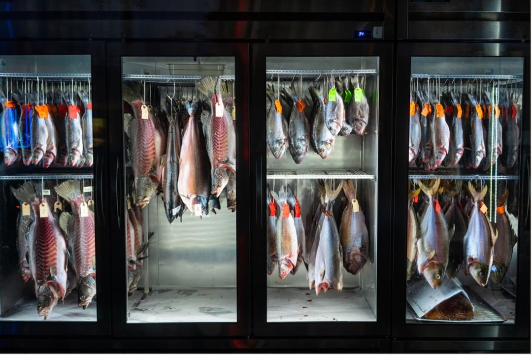 Refrigerated display case filled with rows of assorted fresh fish hanging on hooks, showcasing fish for sale in a commercial setting.