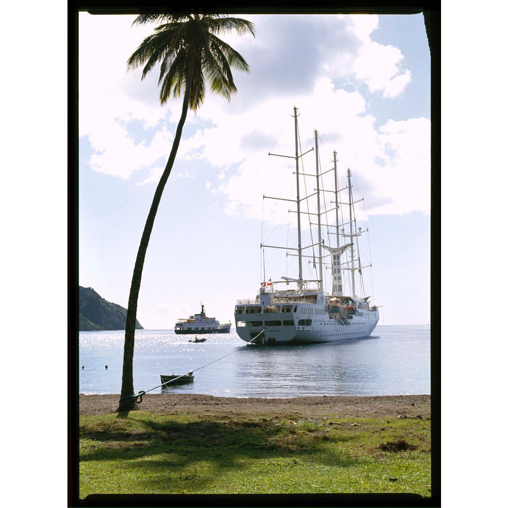 A large white cruise ship anchored near a tropical island with a palm tree, viewed through a window with a green grassy foreground.