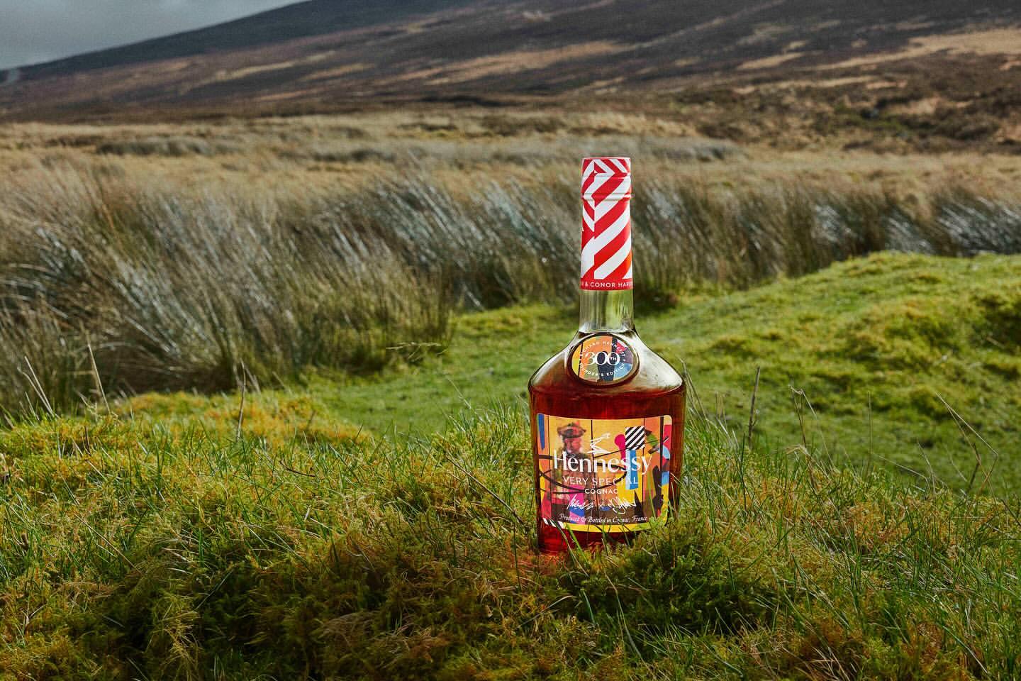 Hennessy Very Special cognac bottle stands in a green field with a mountain in the background, showcasing rich amber liquid and artistic label.