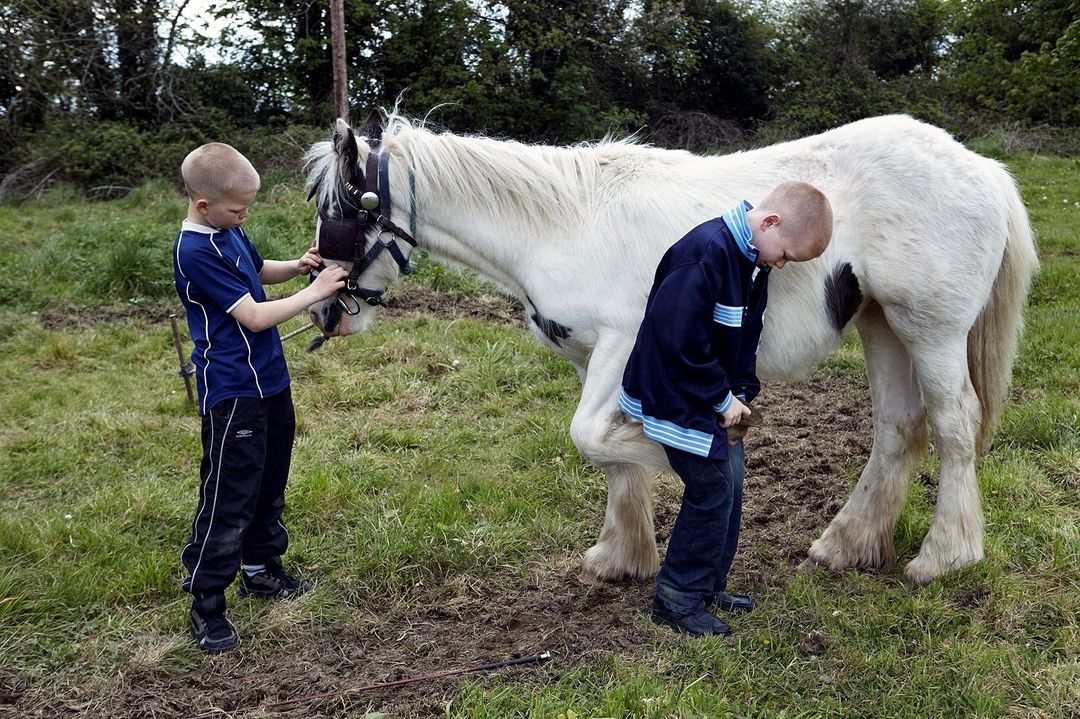 Two boys tending to a white horse in a green field with trees in the background. One boy adjusts the horse's bridle, while the other examines a hoof.