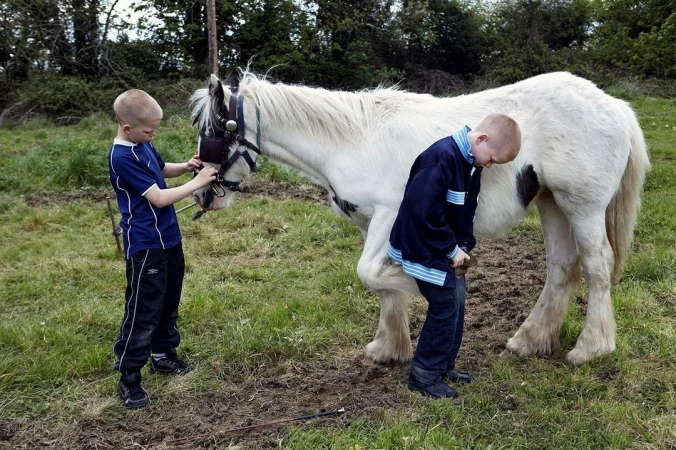 Two boys tending to a white horse in a green field with trees in the background. One boy adjusts the horse's bridle, while the other examines a hoof.