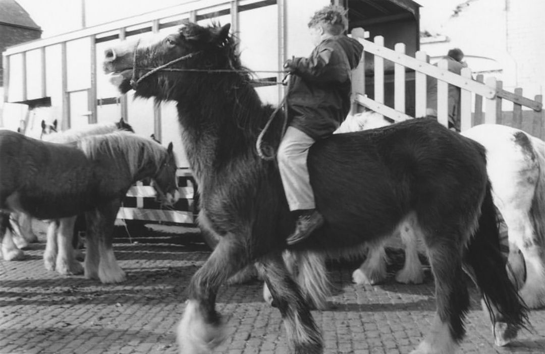 Black-and-white shot of a child riding a large horse with feathered legs down a brick road, surrounded by other horses and trailers.