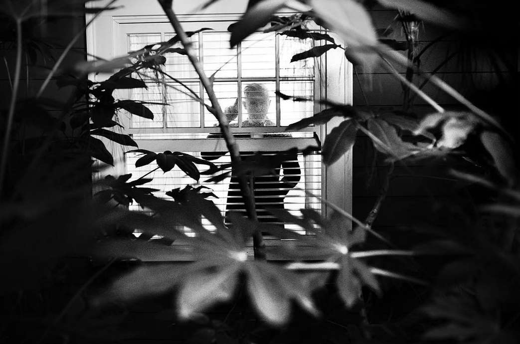 Black and white image of an adult person standing in a window behind blinds, framed by tree branches and leaves in the foreground.