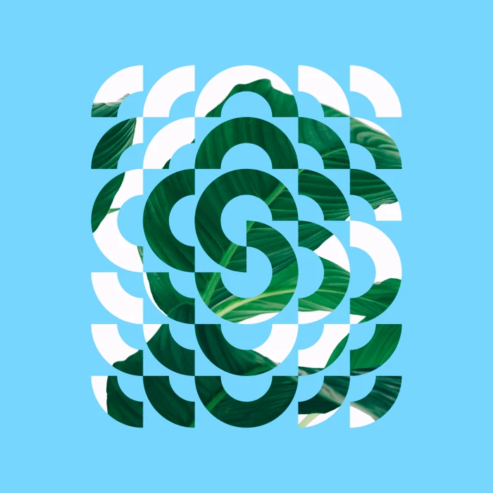 Geometric circular grid collage masking green tropical palm leaves and white shapes over a bright sky blue background.