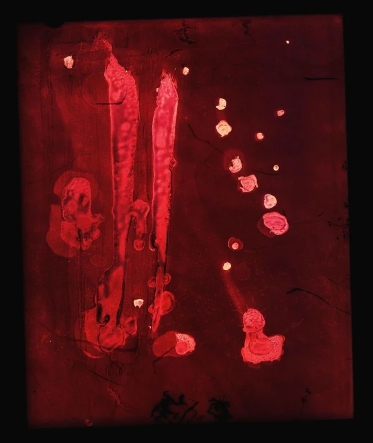 Abstract painting featuring dominant red hues with vertical brushstrokes and scattered white spots, resembling an ethereal, textured canvas.