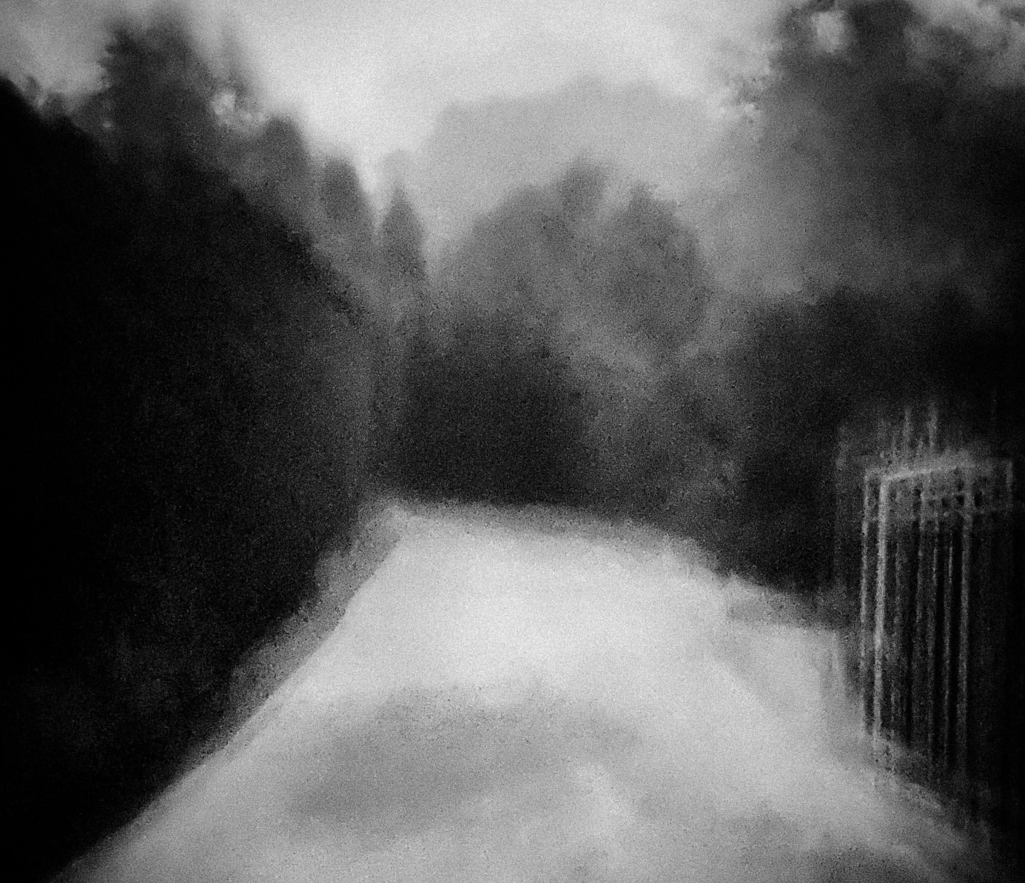 Black and white landscape featuring a gate along a snow-covered path with trees and bushes on either side under an overcast sky.