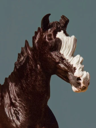 Close-up of a brown and white horse head with a flowing mane against a blue-grey background in a portrait orientation.