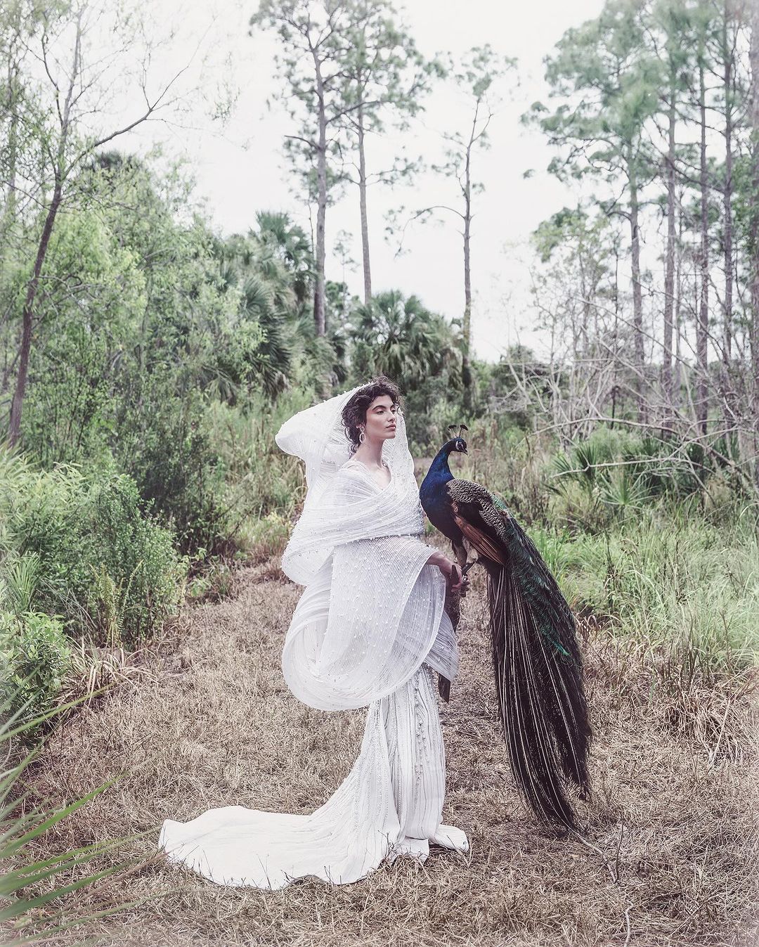 Woman in white dress with peacock in outdoor setting. Tall trees and neutral grassy ground provide a natural background.