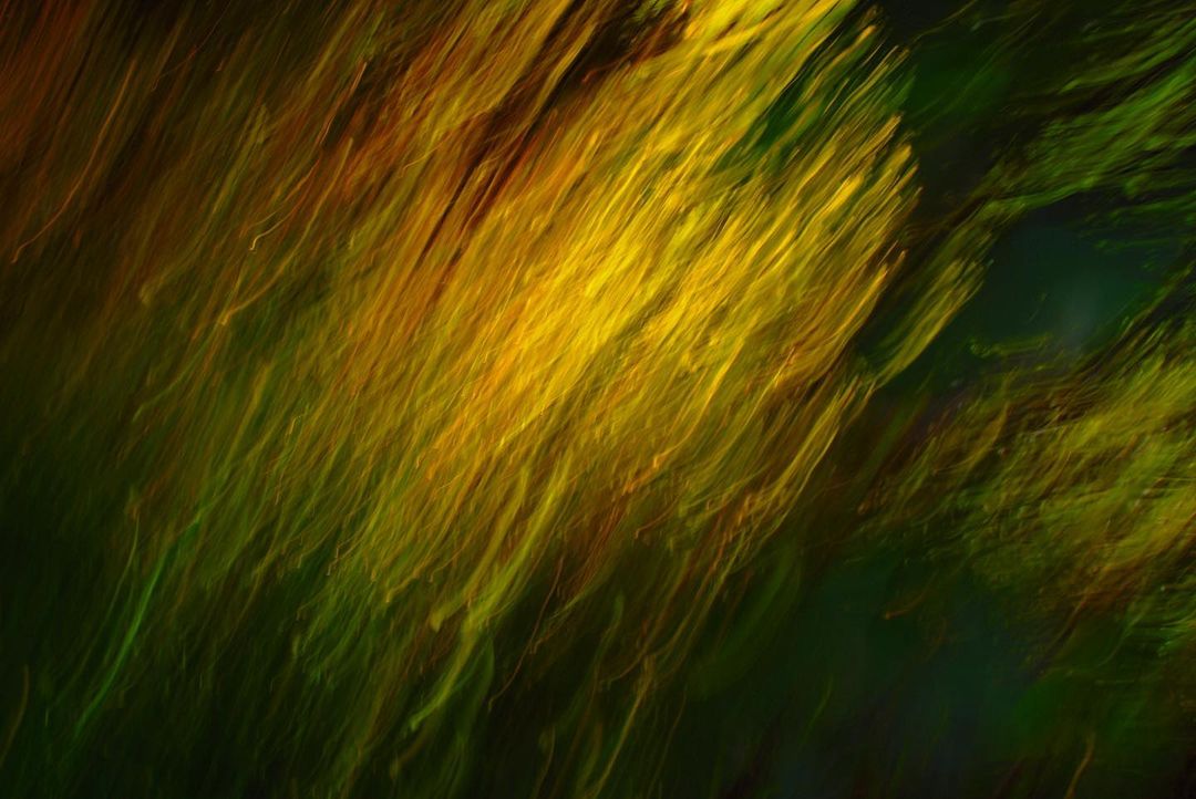 Abstract long exposure art photograph of light streaks in yellow and green with a dark background, creating dynamic motion effect.