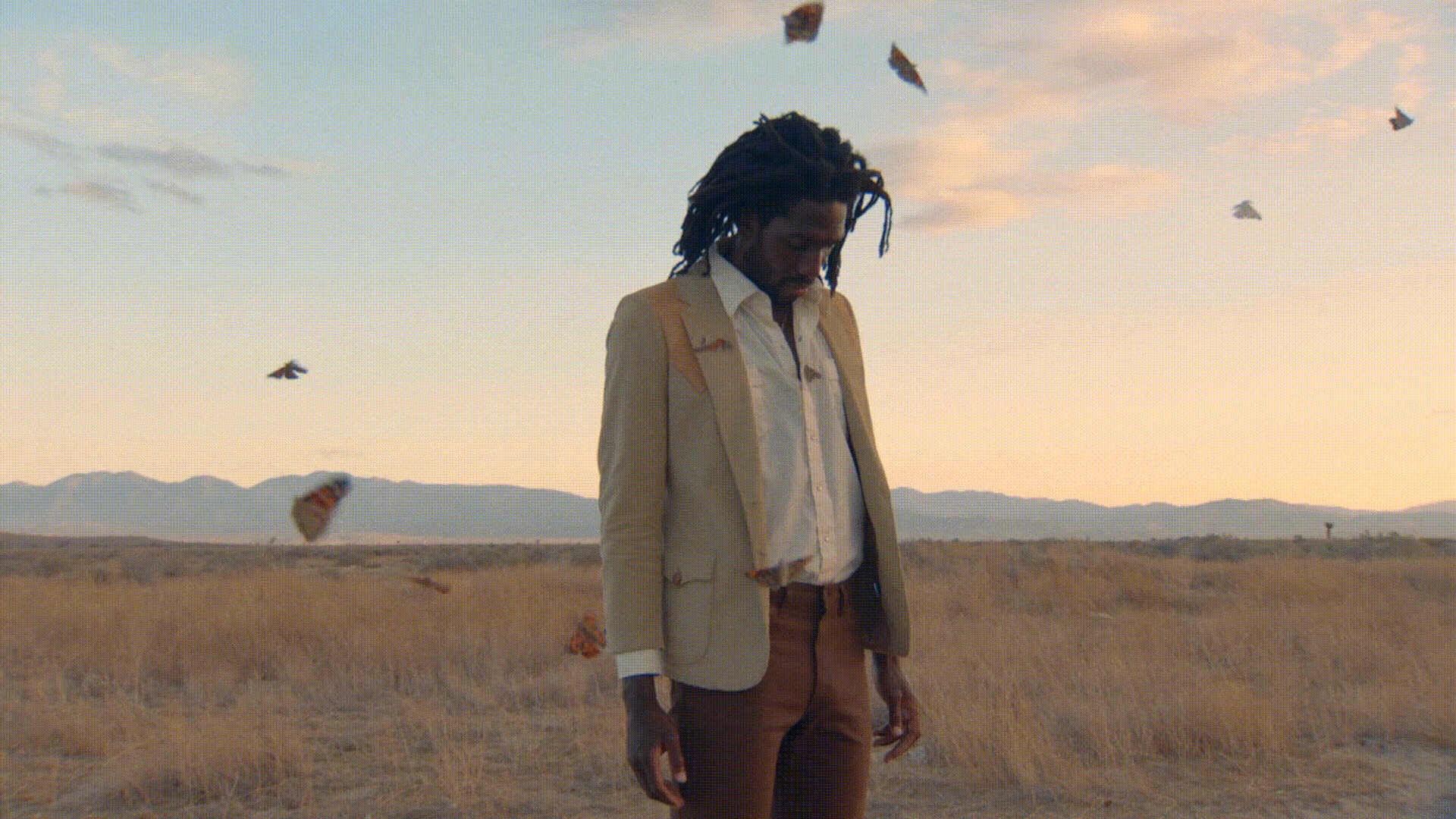 Man in a blazer stands in a field as butterflies fly around him in the desert landscape at sunset. Soft, warm lighting on the scene.