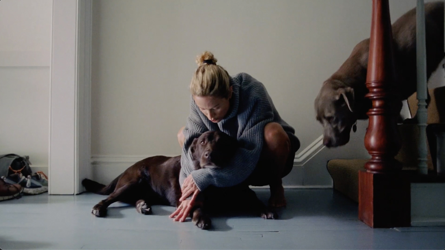A woman in a grey sweater squats to pet a chocolate Labrador Retriever in an indoor setting with another dog and casual shoes nearby.