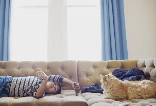 Young boy relaxes with a smartphone and a fluffy orange cat on a tufted beige sofa in a brightly lit interior near blue curtains.