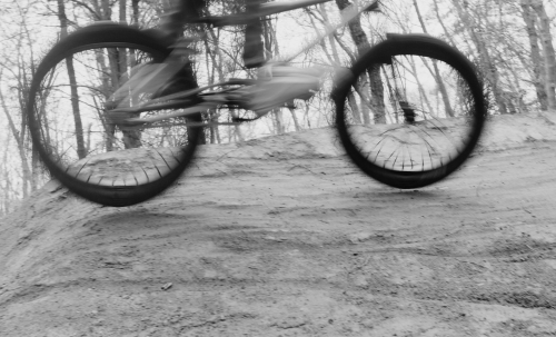 Monochrome motion shot of a person on a bicycle speeding over a dirt mound in a wooded area with blurred background trees.