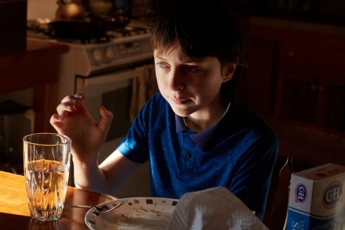 Child in a blue shirt sits at a wooden table with a plate and glass of water, illuminated by warm, natural light from a window.