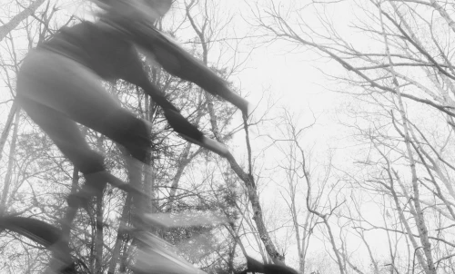 Motion-blurred black and white photograph of a person riding a bicycle through a sparse winter forest by Douglas Adesko