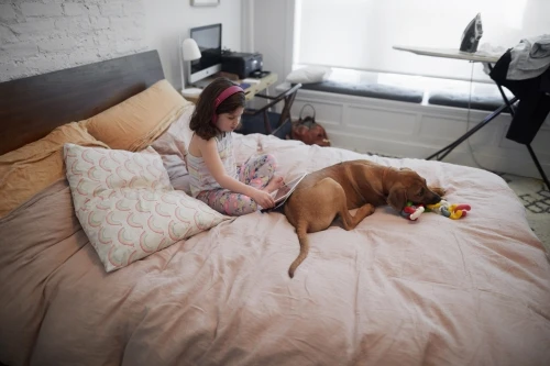 Young girl with headphones sits on a bed looking at a tablet, with a tan dog beside her chewing on a toy in a brightly lit room.