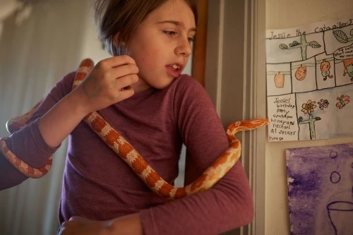 Child wearing a purple long-sleeve shirt with an orange and white corn snake draped over their shoulders and arm by Douglas Adesko