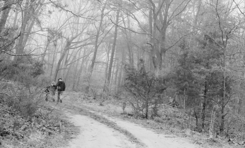 Black and white landscape captures a couple walking a dirt path through a misty forest on an overcast day with bare trees.