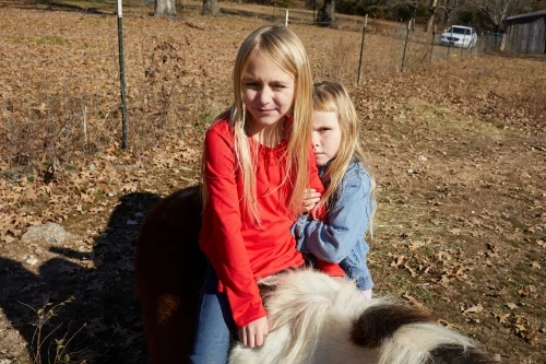 Two young girls with long blonde hair are standing outside, next to a pony, with a grassy field and trees in the background on a sunny day.