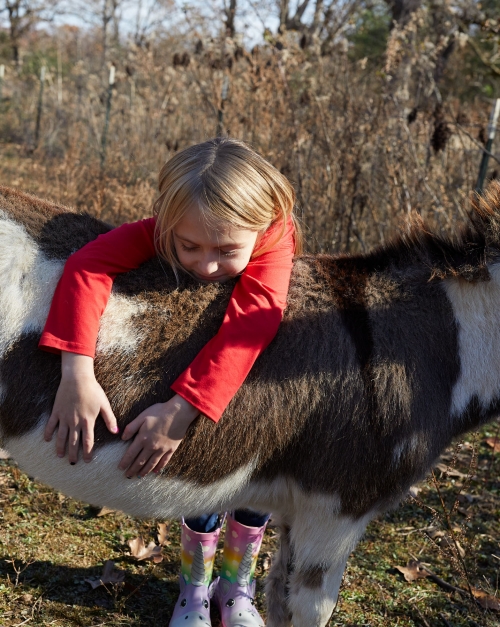 Blond child embracing a brown and white donkey in a rural setting, wearing a red long-sleeve shirt and colorful boots, close-up shot.