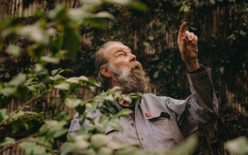 Portrait of a bearded man in a striped shirt, surrounded by greenery, looking upward with his right hand raised. Outdoor setting.