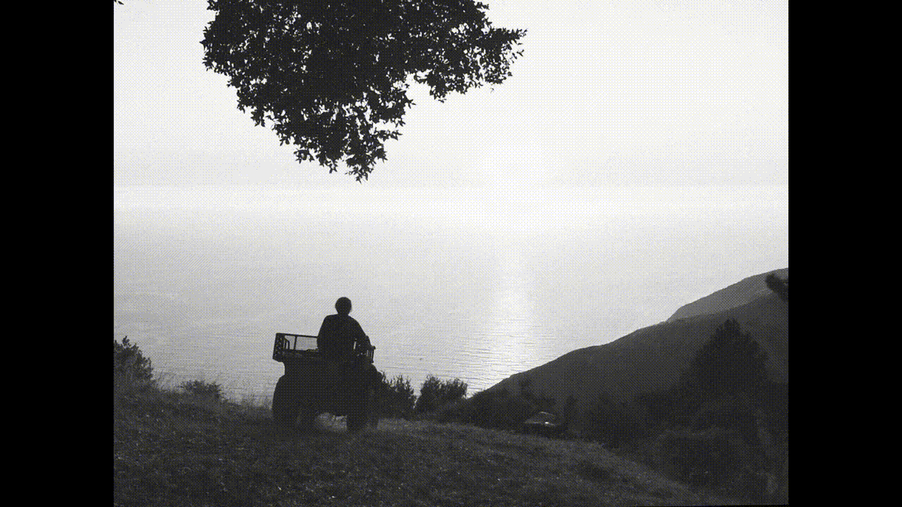 Black and white outdoor shot of a person on an all-terrain vehicle looking out at the sea from a grassy hill under a tree.