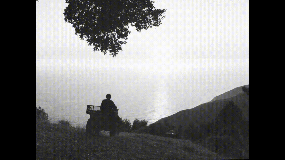 Black and white outdoor shot of a person on an all-terrain vehicle looking out at the sea from a grassy hill under a tree.