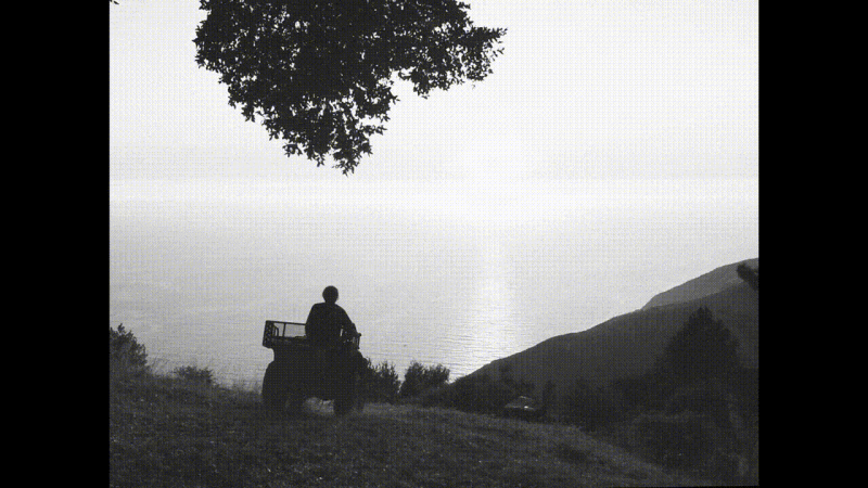 Black and white outdoor shot of a person on an all-terrain vehicle looking out at the sea from a grassy hill under a tree.