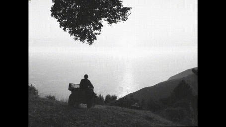 Silhouette of a person driving an ATV on a coastal hill overlooking the ocean beneath a tree branch