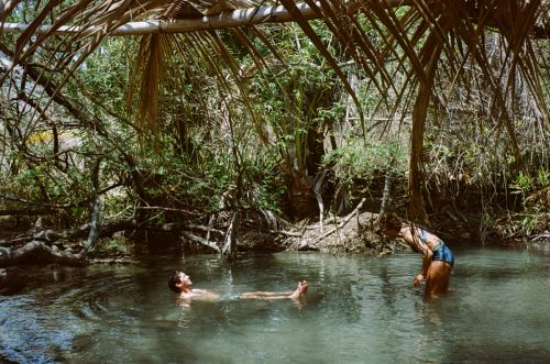 Two people in a natural pool surrounded by lush greenery and palm fronds, one person lying back in the water and the other standing.