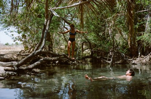 Two people in a natural spring setting; one stands on a tree branch over the water, another floats in the water, surrounded by greenery.