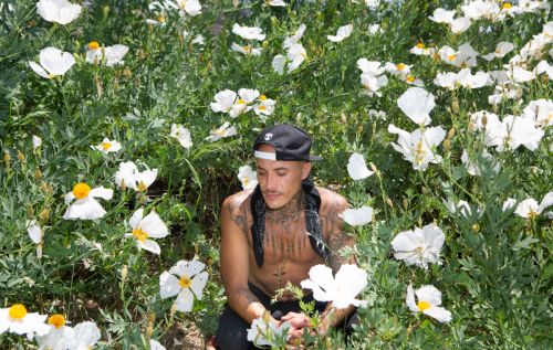 Adult male with tattoos and a baseball cap squats in a field of white flowers with green foliage, looking down in outdoor setting.