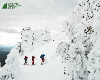Three skiers ascending a snow-covered mountain slope framed by frost-covered evergreen trees under an overcast sky.