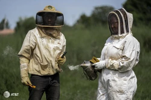 Two beekeepers, one male and one female, wear protective suits and hats with mesh, working with a smoker in a green field.