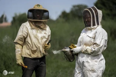 Two beekeepers in protective white suits and veils standing outdoors near tall green grass, one holding a smoker.