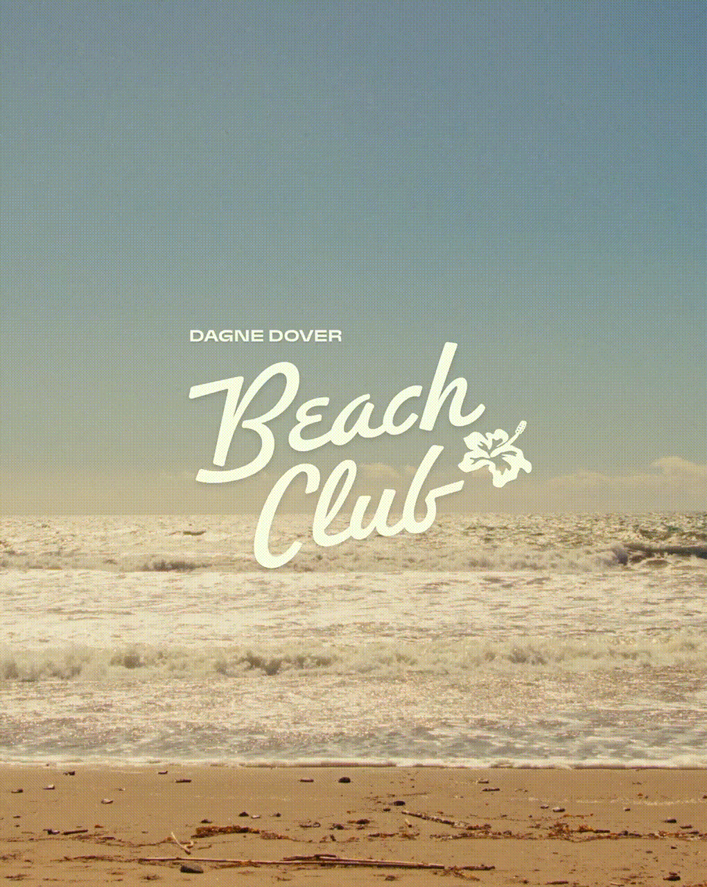 Seascape shot with sandy beach, ocean waves, and a clear blue sky, featuring the text 'Dagne Dover Beach Club'.