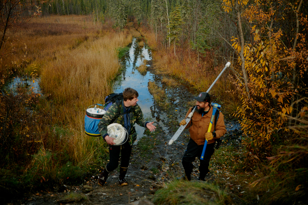 Two men carrying field equipment walk along a muddy path through a sparse northern forest landscape.
