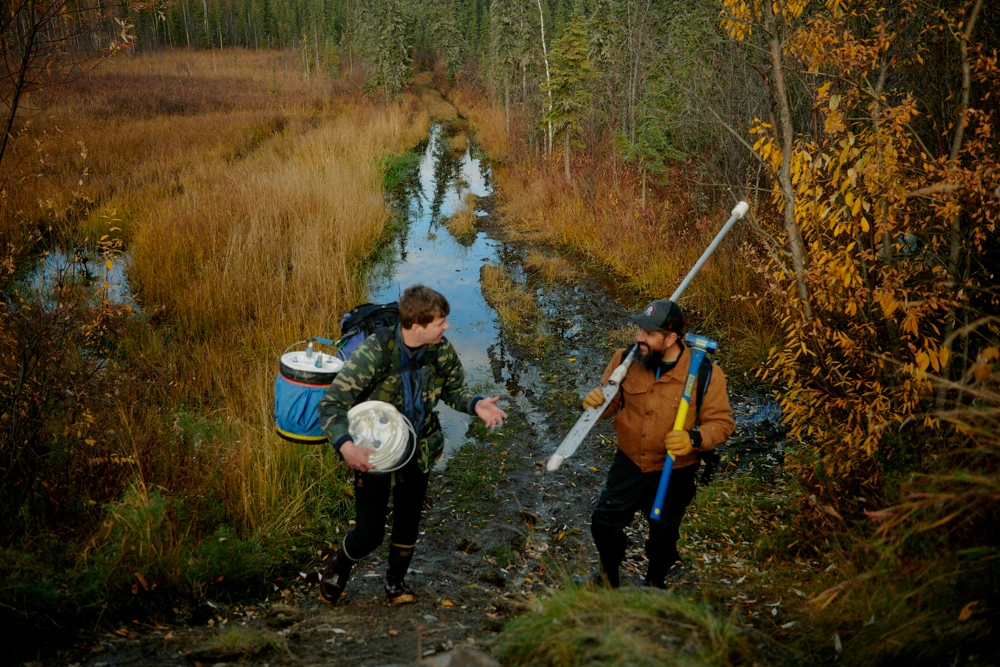 Two men carrying field equipment walk along a muddy path through a sparse northern forest landscape.