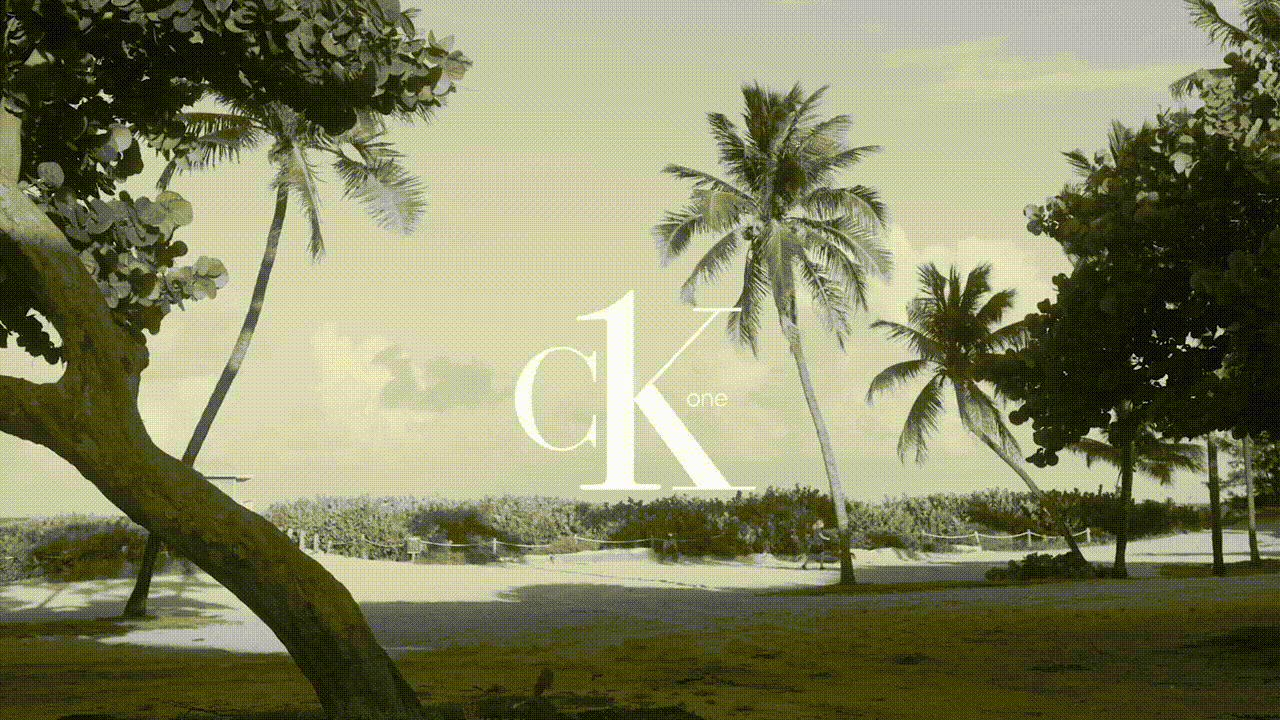 Black and white beach landscape with palm trees and a logo, showcasing a serene coastal scene with tropical foliage and brand integration.