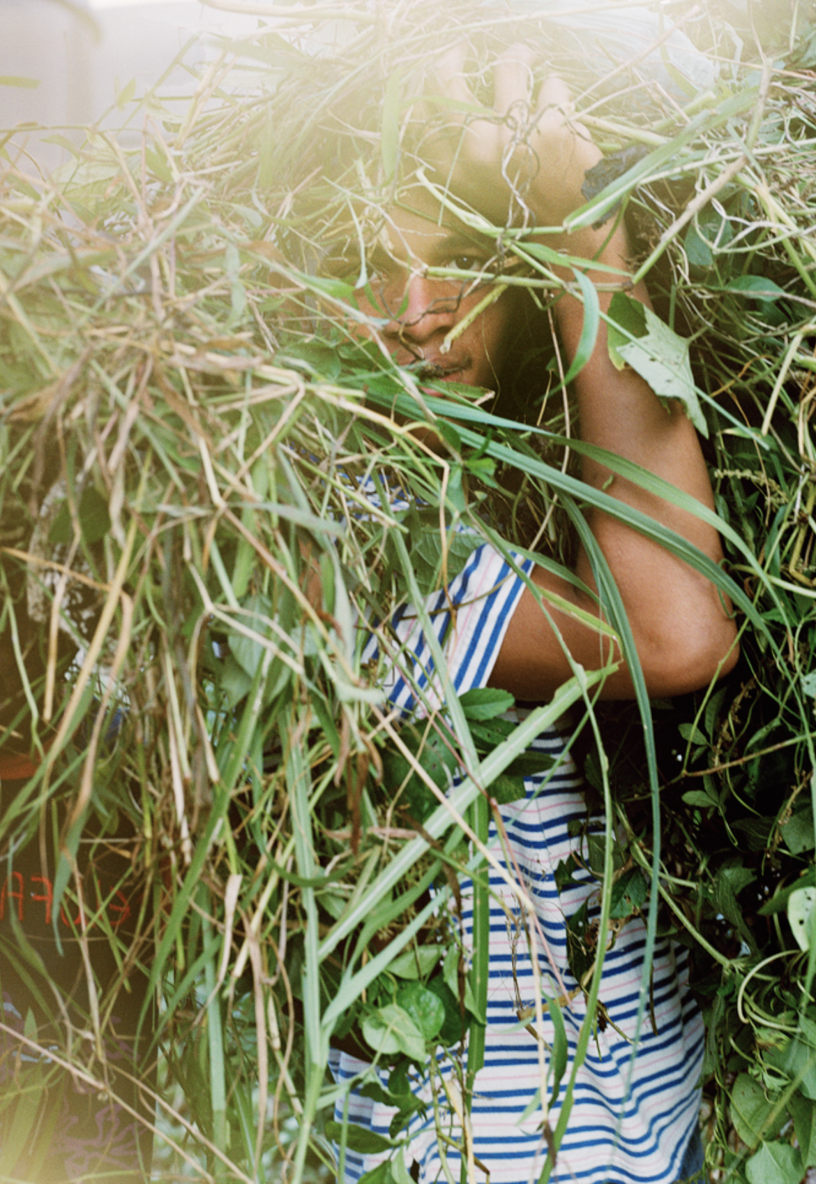 Person obscured by long grass and foliage, wearing blue and white striped shirt, natural outdoor environment, close-up composition with bright lighting.