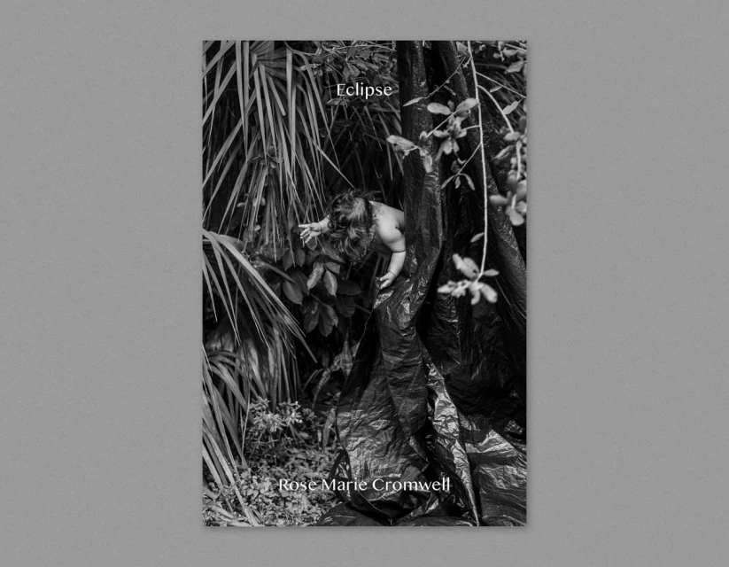 Black and white image of a child in a forest, partially obscured by dark plastic. The image also has the title 'Eclipse'.