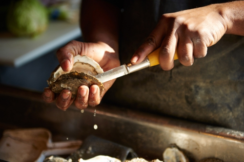 Close-up of dark-skinned hands shucking an oyster with a knife over a stainless steel surface, with a halved lime in the background.