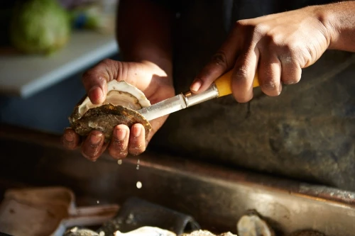 Close-up of dark-skinned hands shucking an oyster with a knife over a stainless steel surface, with a halved lime in the background.