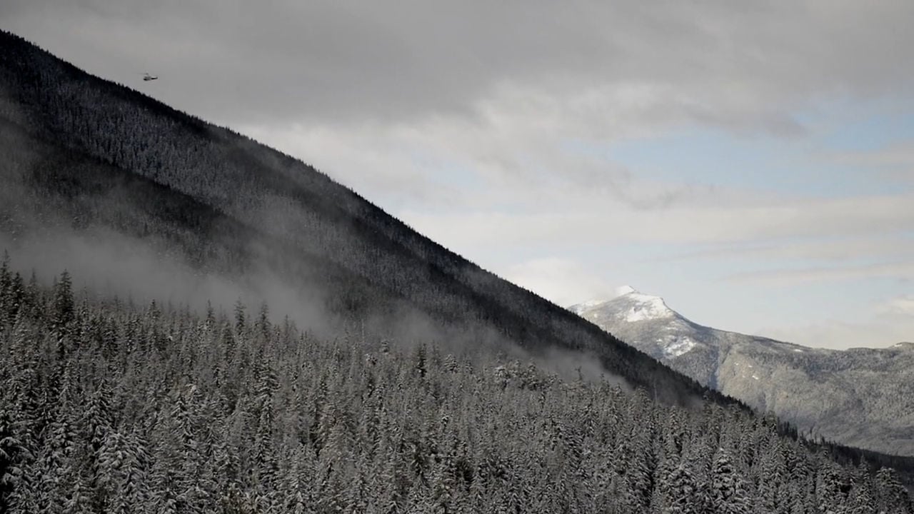 Aerial view of a snow-covered mountain slope with dense pine forest under an overcast sky, captured by Bryce Duffy.